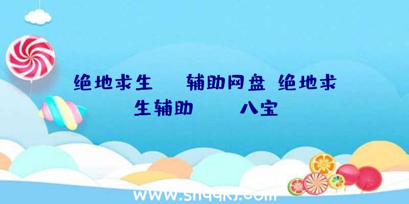 绝地求生jdg辅助网盘、绝地求生辅助